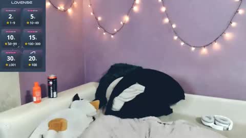 Felix online show from 02.14.25