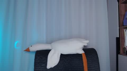 Sonnenschein online show from 12.11.24