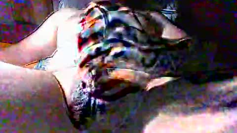 litwinpaweel online show from 10.18.25