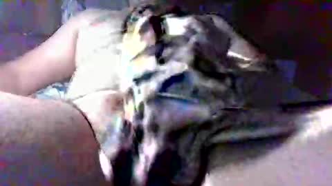 litwinpaweel online show from 10.28.25