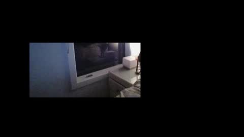 litzsa online show from 02.07.26