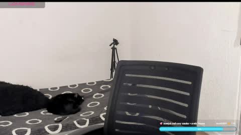 Liu help me to reach 100 thumps up daddy online show from 04.06.26