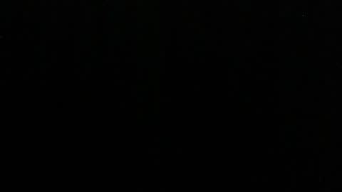 Lilly online show from 03.04.25