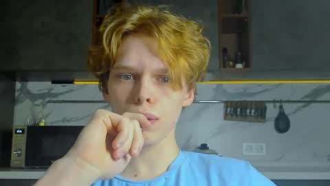 Snapshot of lolnoillimsary chatting on 04.28.26 Nelis online show from 04.28.26