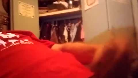 longdongsilverj online show from 01.08.25