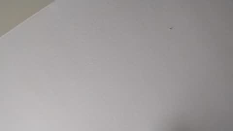 Mr. FogoDeChao online show from 01.16.26