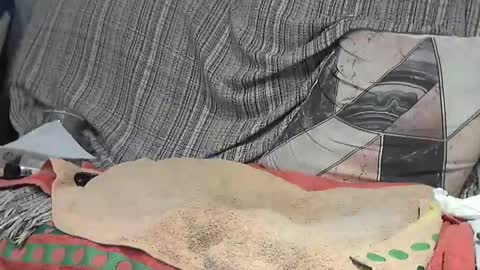 Snapshot of longnight5 chatting on 02.24.25 Alejandro Rulitos Twitter longnight55 Intagram 5longnight5 online show from 02.24.25