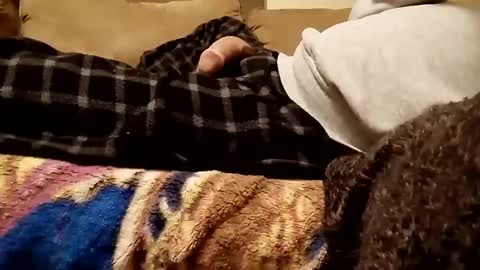 looking4bush online show from 12.03.24