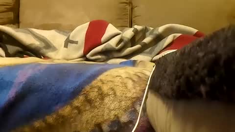 looking4bush online show from 01.19.26