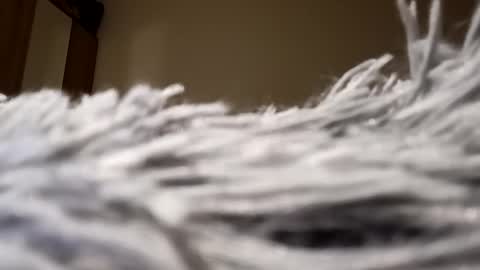 Lora online show from 01.15.25