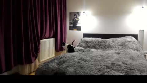 Lora online show from 02.21.25