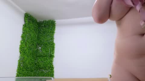 Amelia online show from 02.25.25