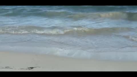 Louis online show from 11.05.25