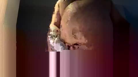 Snapshot of lov2play1966 chatting on 11.18.25 lov2play1966 online show from 11.18.25