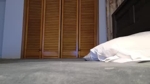 Amber online show from 01.07.26