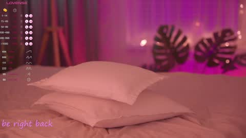 Nelly online show from 01.07.25