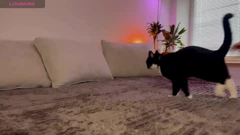 Elsa online show from 10.23.25