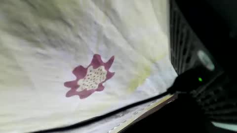 lovelypinay2 online show from 02.05.25