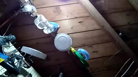 lowtidehightide online show from 11.25.25