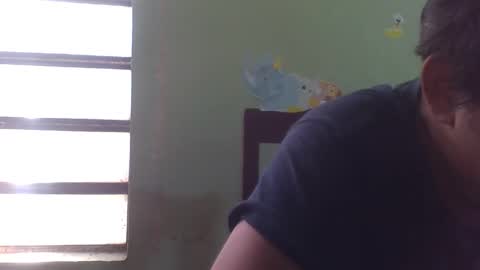 lpmauriciosantamaria online show from 12.05.25