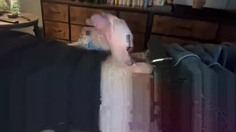 Snapshot of lubthemtitties chatting on 12.22.24 lubthemtitties online show from 12.22.24