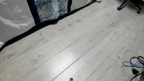 luca_morettii online show from 10.16.25