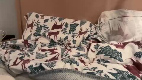 Snapshot of lucca_d123 chatting on 09.22.25 lucca_d123 online show from 09.22.25