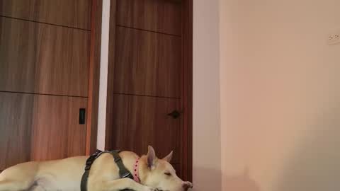 Luci y Fer online show from 09.09.25