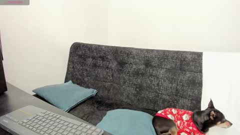 luci online show from 12.04.25