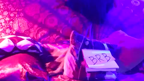 Snapshot of luckazy chatting on 01.04.25 Lucky Eid Azy online show from 01.04.25