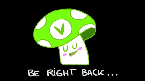 Noor online show from 02.13.25