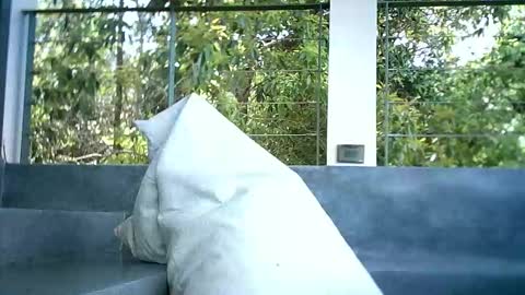 Snapshot of luckyluckylukas chatting on 11.04.25 LuckyLukas online show from 11.04.25