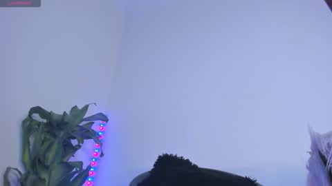 luciana online show from 11.07.25