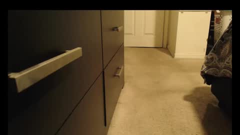 LUGO online show from 10.08.25