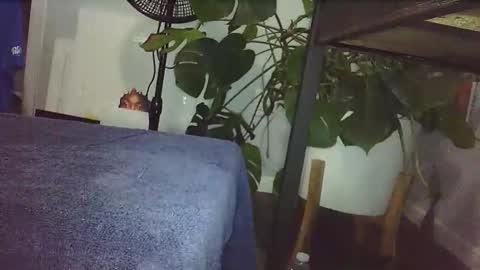 Luke online show from 02.14.26