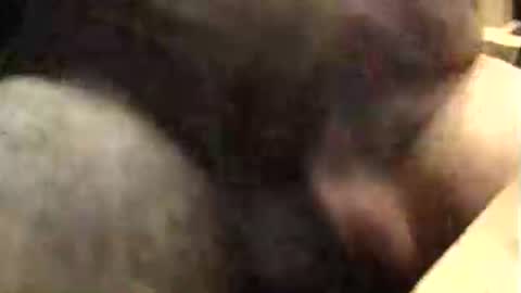 lukestarfckr online show from 10.09.25