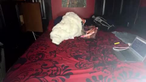 Snapshot of lulu_only_fans chatting on 02.14.25 Lulu online show from 02.14.25