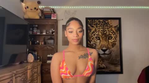 Snapshot of lunaa_11 chatting on 12.12.24 lunaa_11 online show from 12.12.24