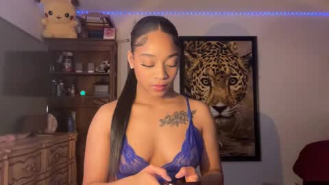 Snapshot of lunaa_11 chatting on 02.28.25 lunaa_11 online show from 02.28.25