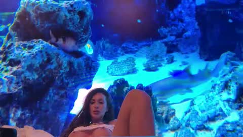 Snapshot of lunabex chatting on 02.18.26 LunaBex online show from 02.18.26