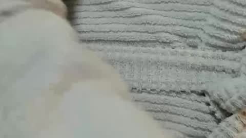 lustgardener67 online show from 12.09.24