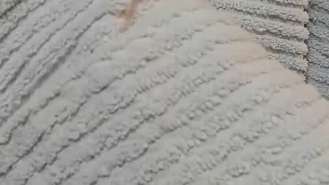 lustgardener67 online show from 12.15.24