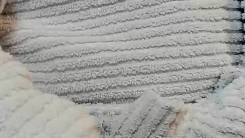 lustgardener67 online show from 12.15.24