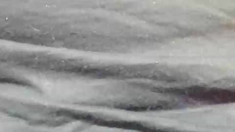 lustgardener67 online show from 01.09.25