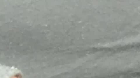 lustgardener67 online show from 02.04.25