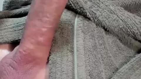 lustgardener67 online show from 02.03.26