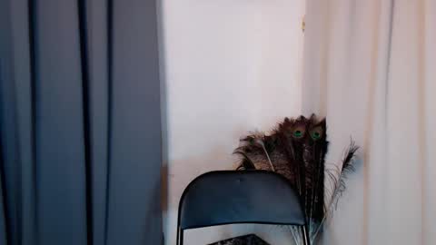 lustyseraphina online show from 02.20.26