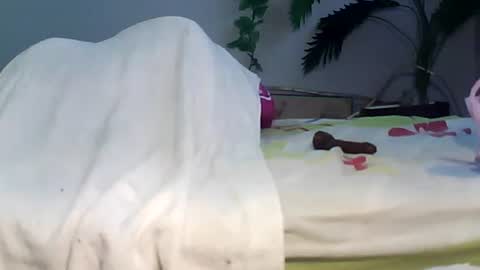 Bee Bee online show from 09.22.25