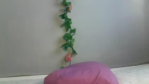 Bee Bee online show from 10.22.25