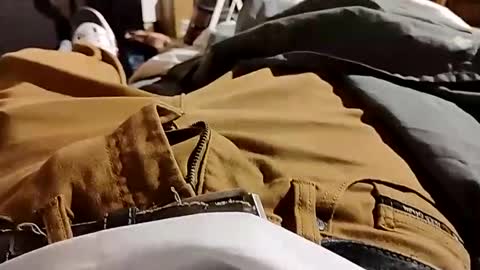 Snapshot of lvacd11 chatting on 12.08.24 Lvac11 online show from 12.08.24